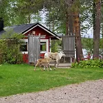 Reindeer Lampsijärvi