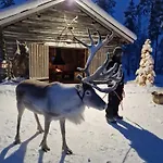 Reindeer Lampsijärvi