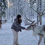 Reindeer Lampsijärvi