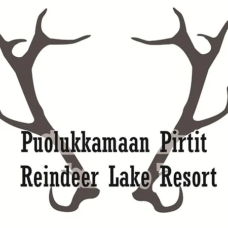 Reindeer * Lampsijarvi