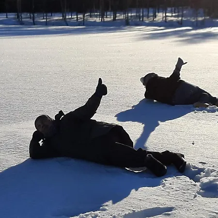 Hébergement de vacances Reindeer