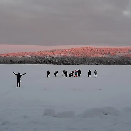 Reindeer Lampsijarvi