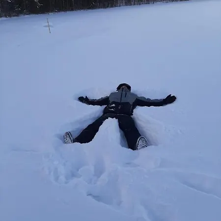 Reindeer * Lampsijarvi