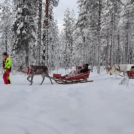 Holiday home Reindeer Lampsijarvi
