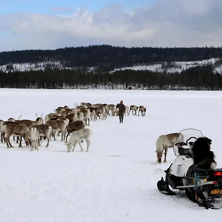 Дом отдыха Reindeer