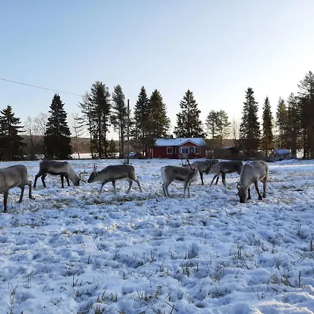 Reindeer Дом отдыха *