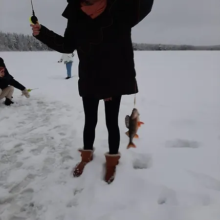 Reindeer Дом отдыха *