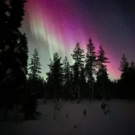 Дом отдыха Reindeer *