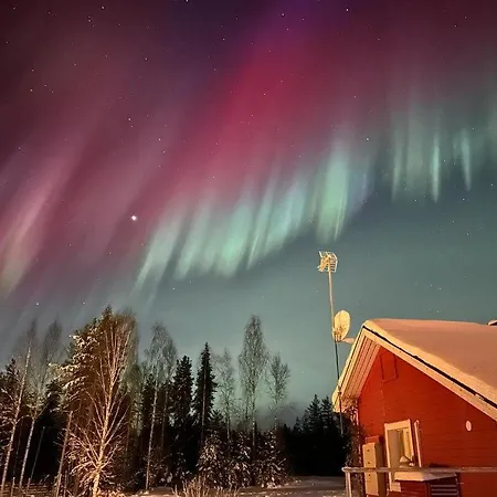 Reindeer Lampsijarvi