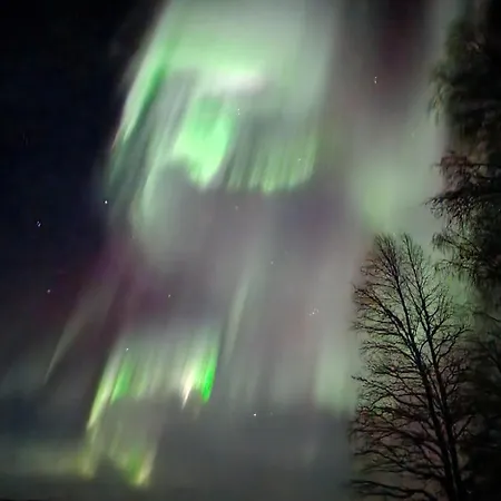 Reindeer Hébergement de vacances