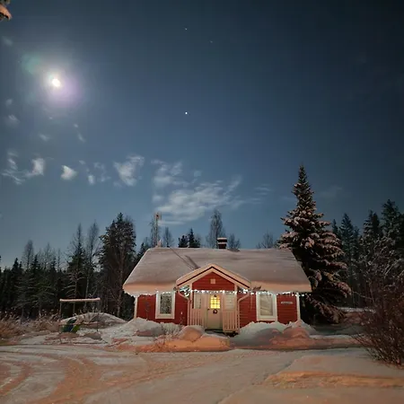 Reindeer * Lampsijarvi