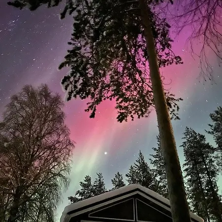 Дом отдыха Reindeer *