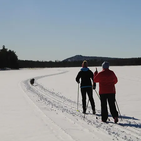 Дом отдыха Reindeer Lampsijarvi