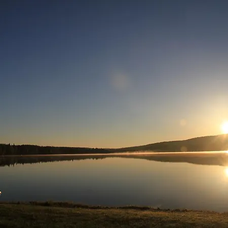 Reindeer Lampsijärvi