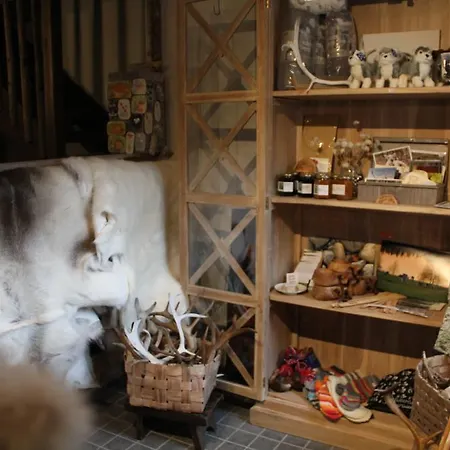 Reindeer * Lampsijarvi